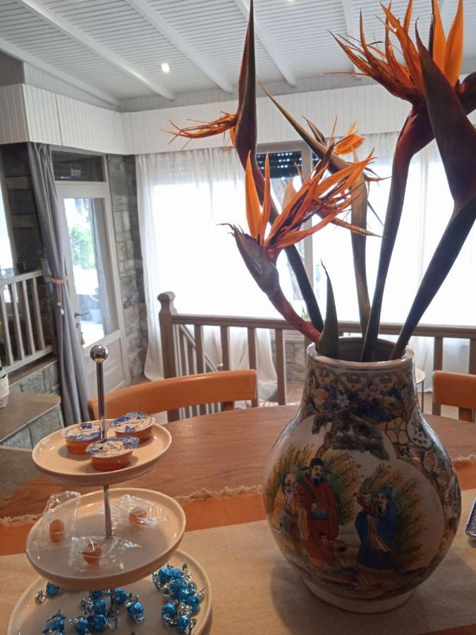 Paul Seafront House Villa Mesongí Eksteriør billede
